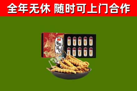 崇阳回收冬虫夏草价格